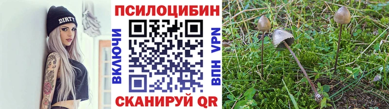 Галлюциногенные грибы прущие грибы Родники